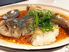 清蒸鲈鱼-至潮餐厅精致粤菜·活鲈鱼·走地鸡(珠江新城店)