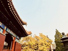 -雍和宫