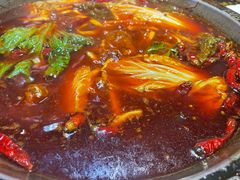-渝大狮毛肚老火锅(普陀店)