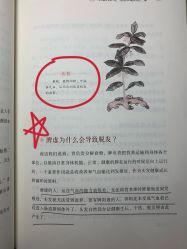 -Bollins波林丝•专研护发中心