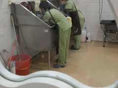 -芭比堂爱心动物医院·心脏科·犬猫内科(越城可乐分院)