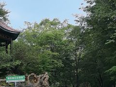 -本溪汤沟绿石谷森林公园