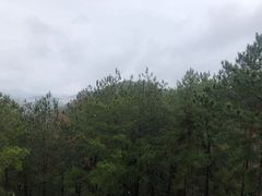 -梦姑塘文化公园