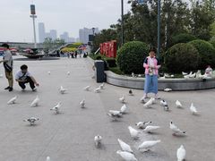 -海河外滩公园