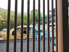 -食光全日制餐厅(绵阳首开喜来登酒店)