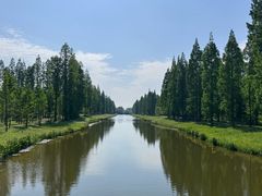 -黄海国家森林公园