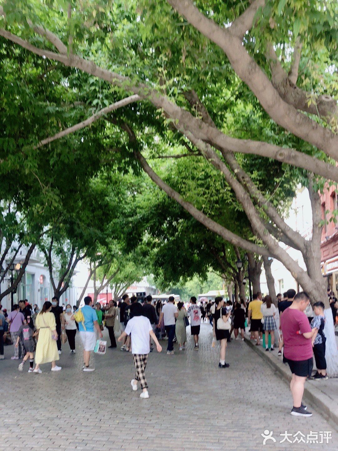 走马观花 无欲无感