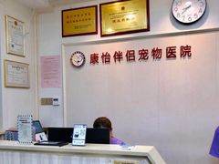 -瑞派康怡24h宠物医院·犬猫医疗中心·微创绝育(瑞景分院)