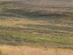 Lamar&nbsp;Valley-拉马尔山谷