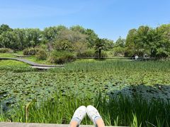 -西溪国家湿地公园