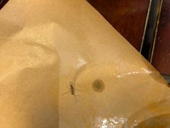 -Mr.Pizza米斯特比萨(合肥一九一二街区店)