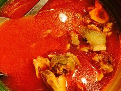 番茄牛尾汤-曾牛肉