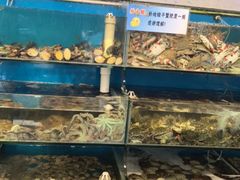 -仙螺岛海鲜自助餐厅(总店)