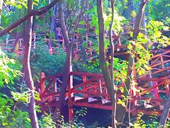 -大岭沟猕猴桃谷风景区