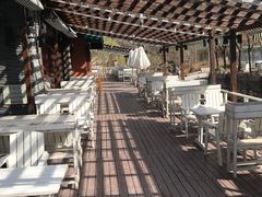 -Local泰莲庭(虹鳟鱼店)