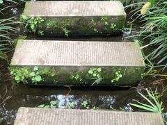 -重庆彩云湖湿地公园