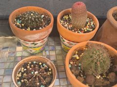 -观塘港茶餐厅(八一大道店)