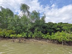 -东寨港红树林旅游区