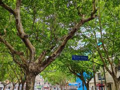 -上海蔡元培故居陈列馆