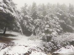-罗坪山