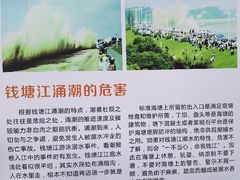 -观潮胜地公园