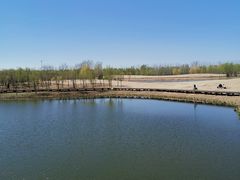 -东郊湿地公园