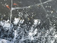 -北京凤凰岭