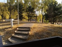 -望湖公园