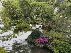 -西湖游船