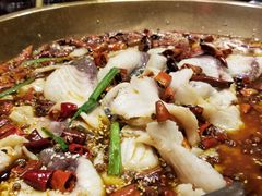 -蜀都丰 正宗水煮鱼(建德天城店)