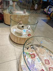 -卡通尼·Safari非洲探索乐园·生日会(金桥国际商业广场店)