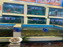 水产区-旺富东海大酒楼(海鲜街店)
