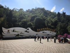 -西双版纳原始森林公园