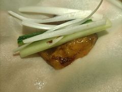 烤鸭-田婆婆的菜(海口友谊阳光城店)