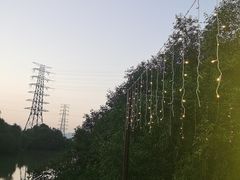 -崖口红树林海鲜餐厅