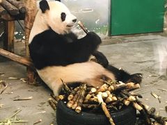 -无锡动物园·太湖欢乐园