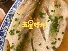 清蒸白水鱼-品渔味湖鲜馆(拈花湾店)