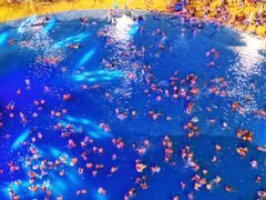 -汕头中海黄金海岸水上乐园