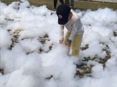 -前小桔亲子创意农场·草莓采摘·露营烧烤