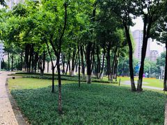 -重庆市江北嘴中央商务区中央公园