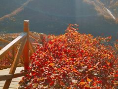 -北京西山国家森林公园