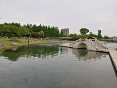 -桐乡凤凰湖
