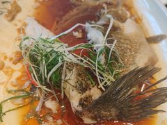 -新南华大酒店(广中店)