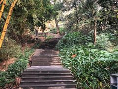 -罗三妹山