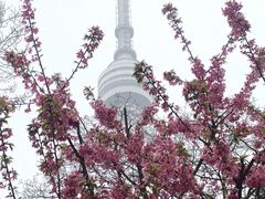 -龟山风景区-龟山电视塔