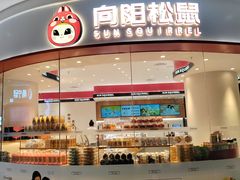 -向阳松鼠(恒大店)