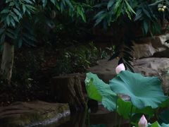 -龙头寺公园