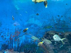 -上海海昌海洋公园