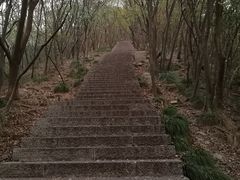 -紫金山山顶公园