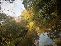 -秋霞圃